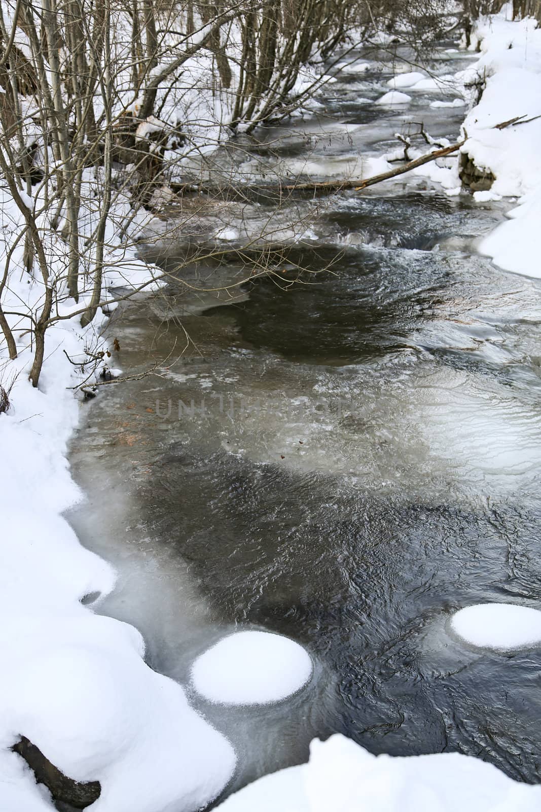 Detail of a little creek in winter time