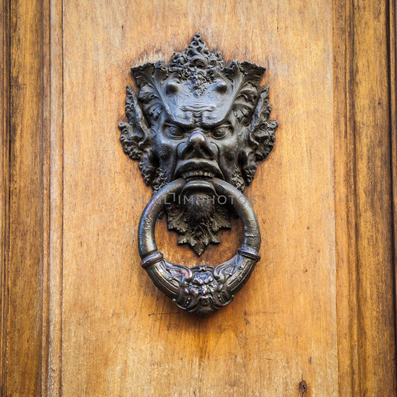 Door knoker on an old wodden door in Tuscany - Italy