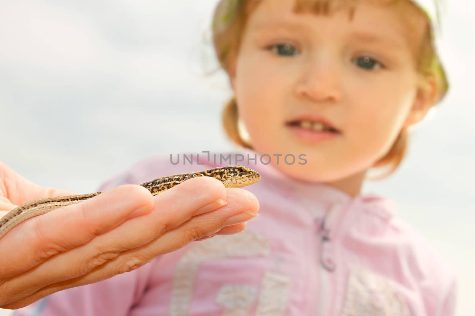 Little girl watching in amazement at the lizard on the hand of adult person