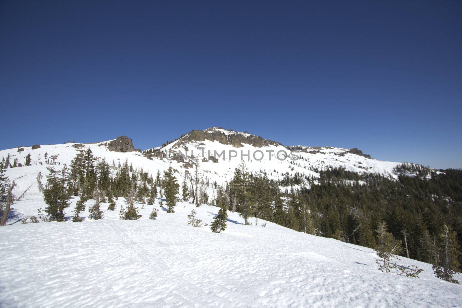 The Sierra Nevadas in the winter at Castle peak.