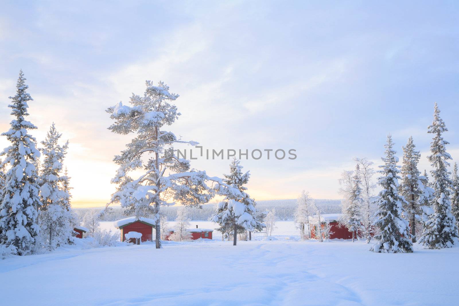 Winter landscape with house at Kiruna Sweden lapland