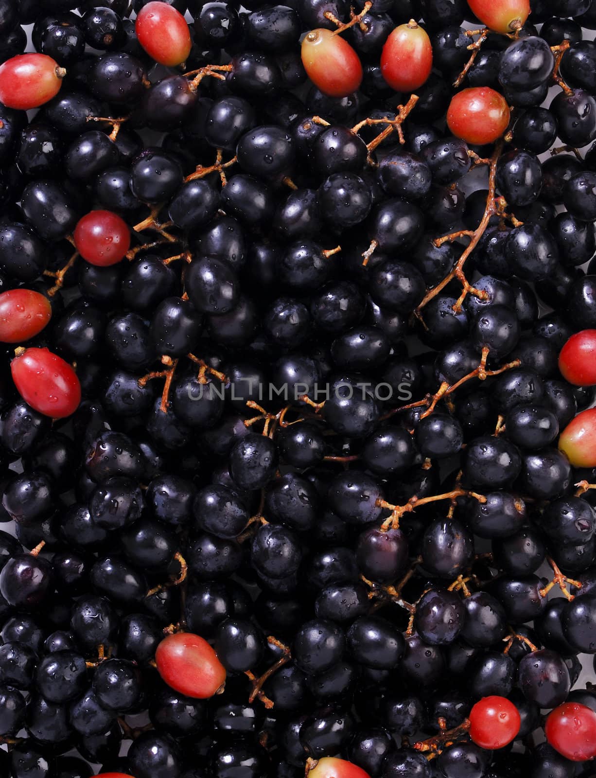 Group of grapes for background