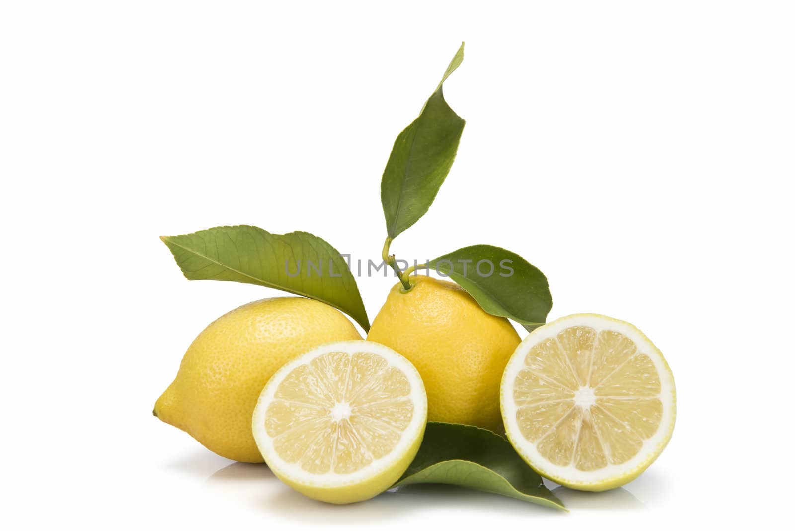 Fresh lemons with leaves by angelsimon
