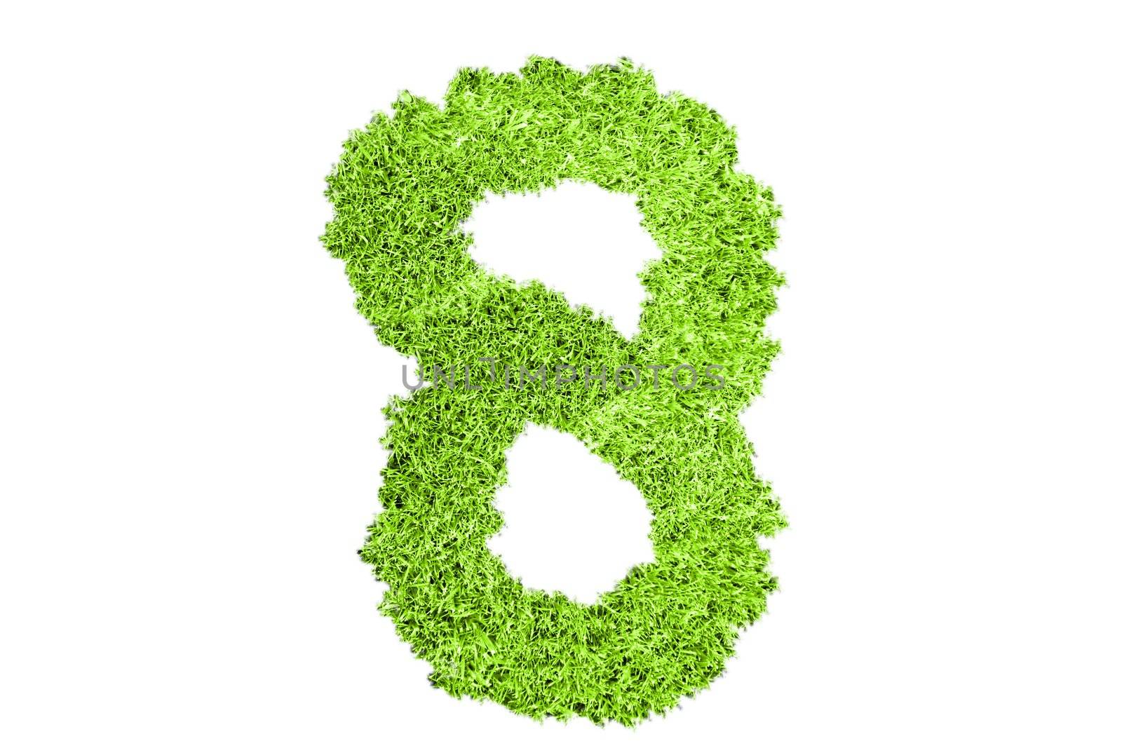 Number 8 from green grass