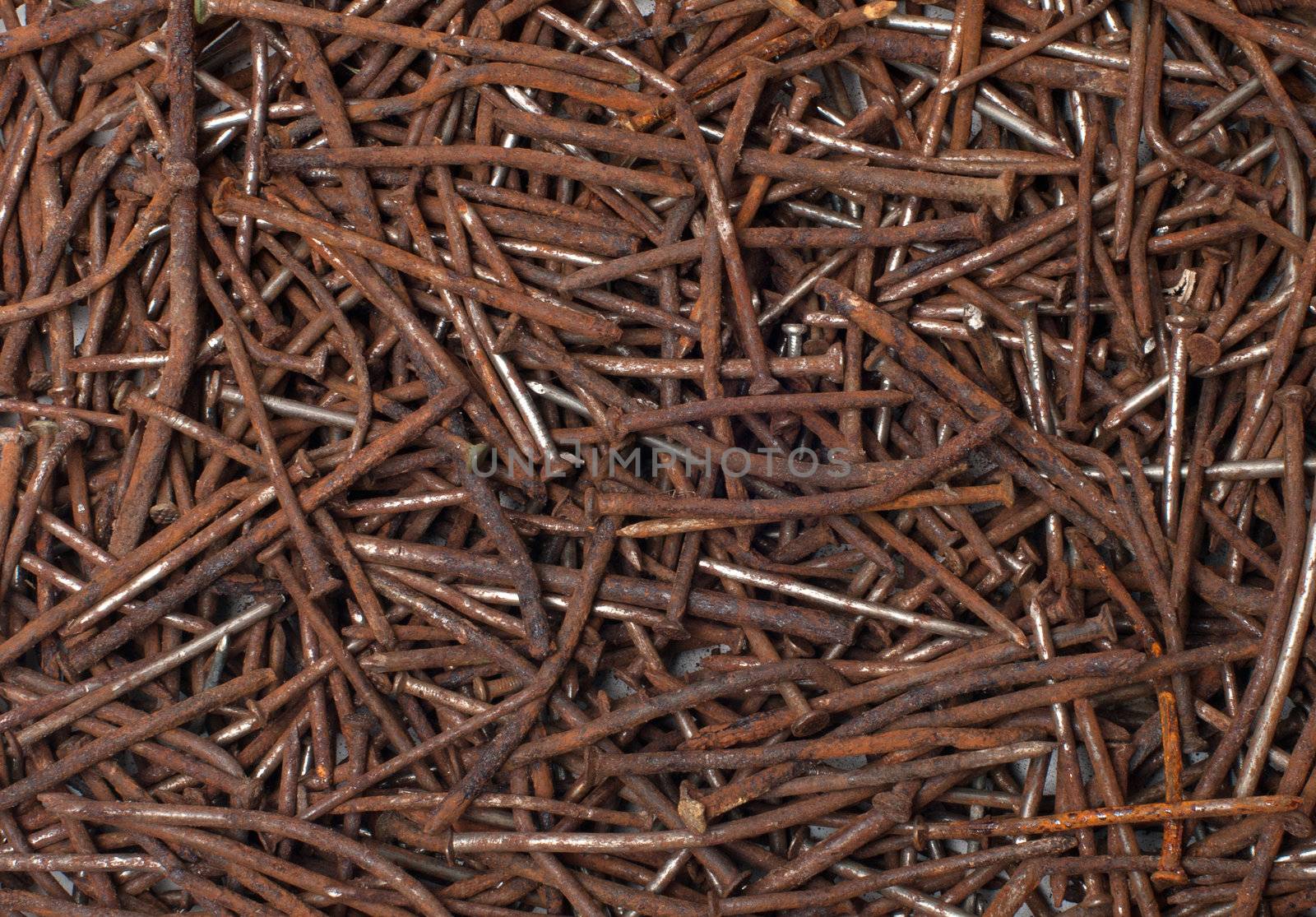 Rusty nails. by kromeshnik