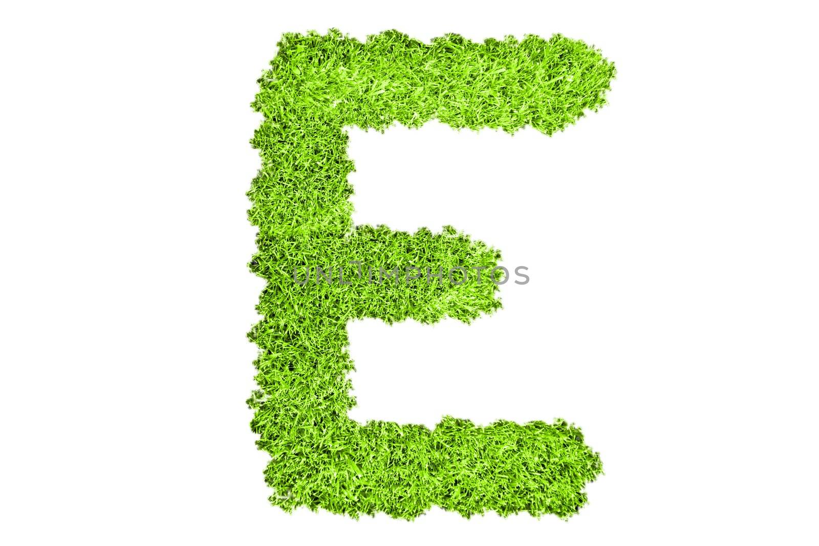 The letter E from green grass