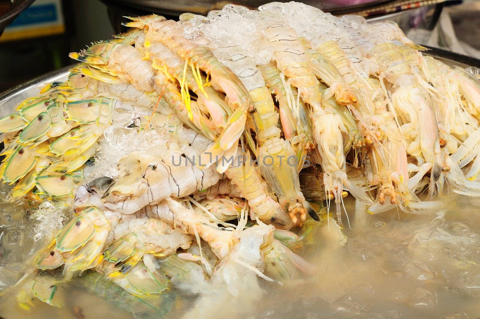 Mantis shrimp with ice in fresh market in Thailand 