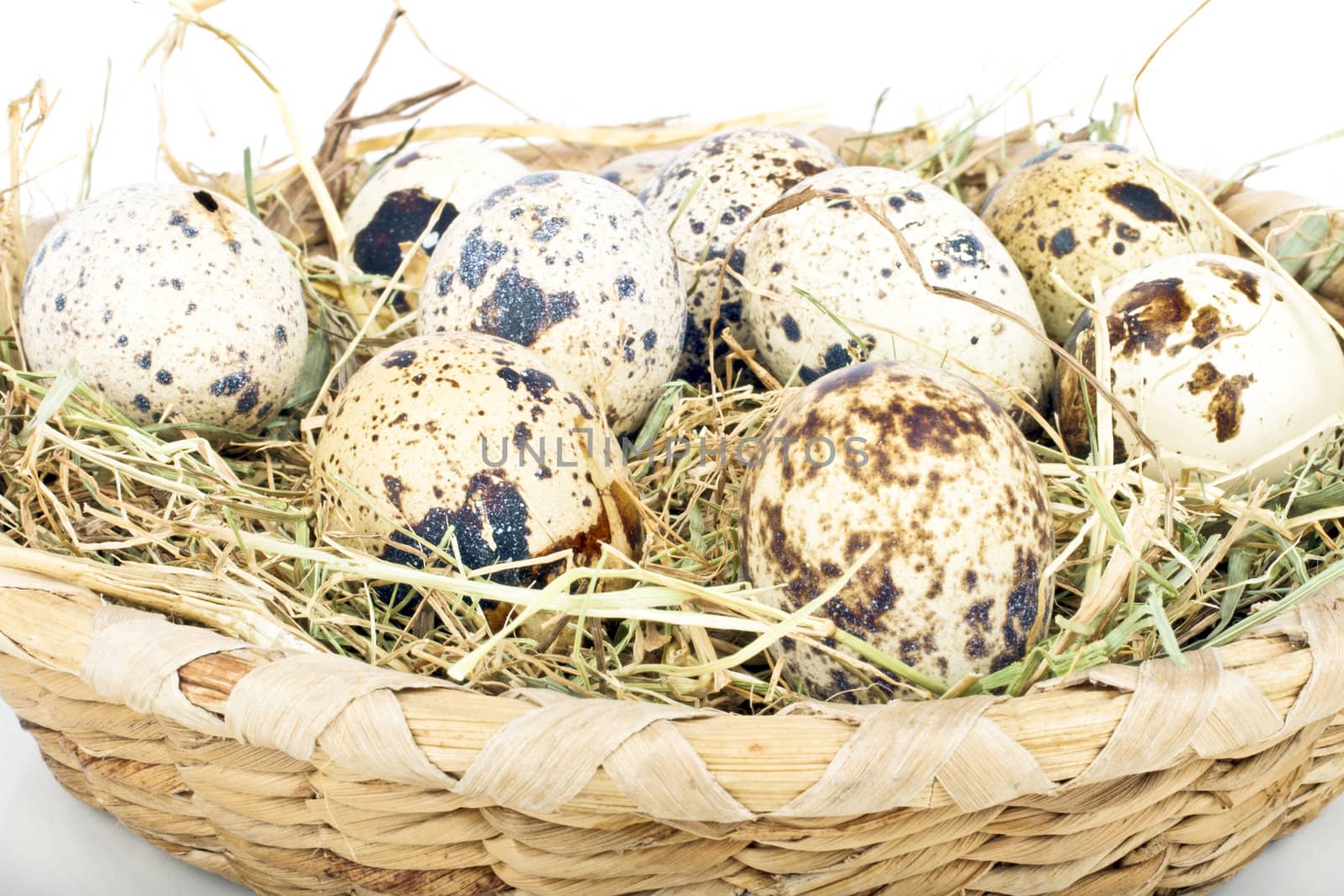 Quail eggs in straw