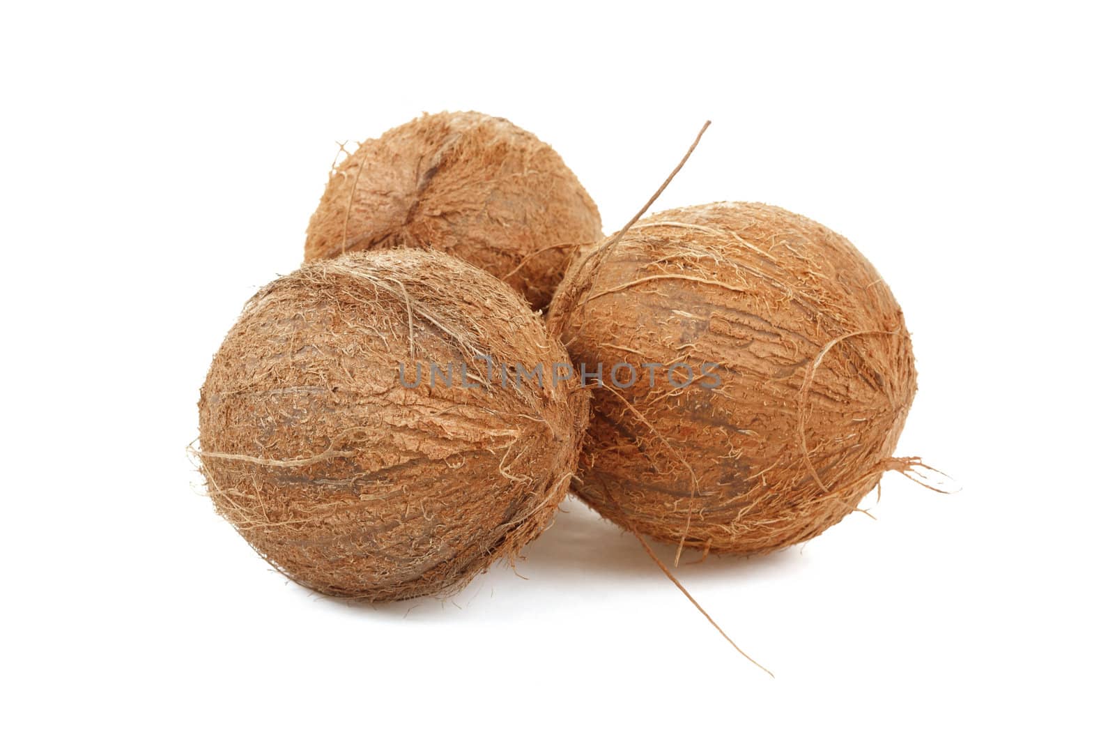 close up view of coconut on a white background 