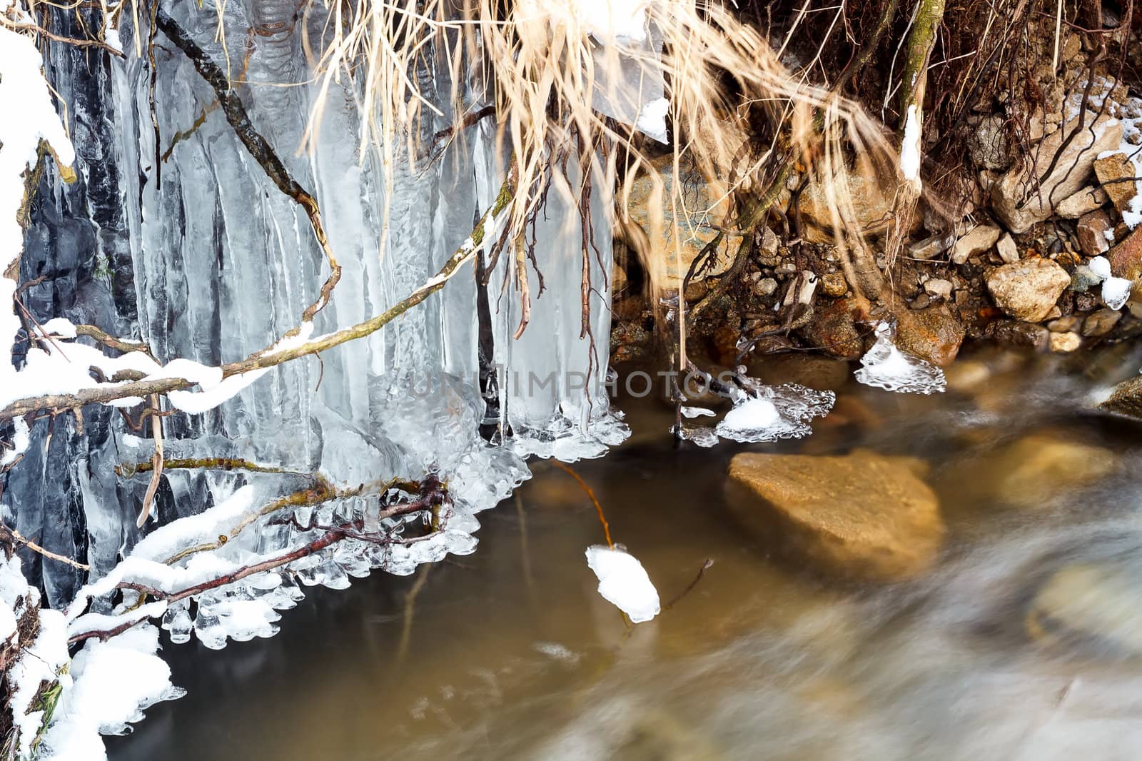 frozen river in a wood shooted in winter