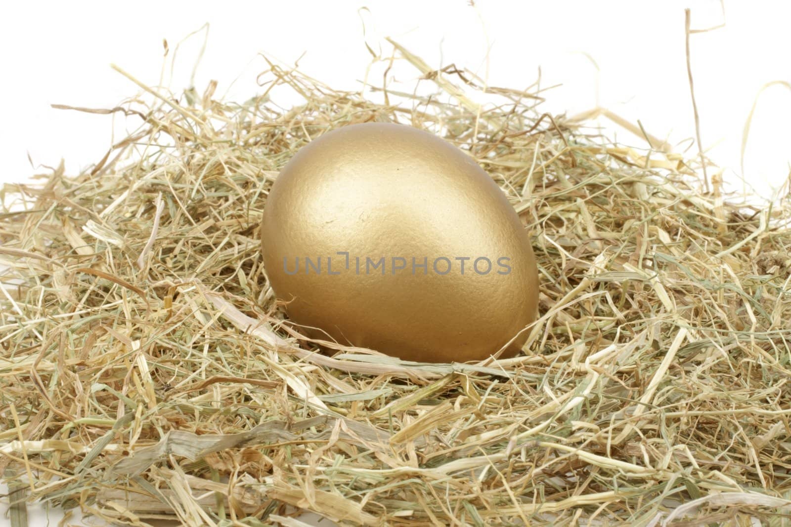 Golden egg in straw