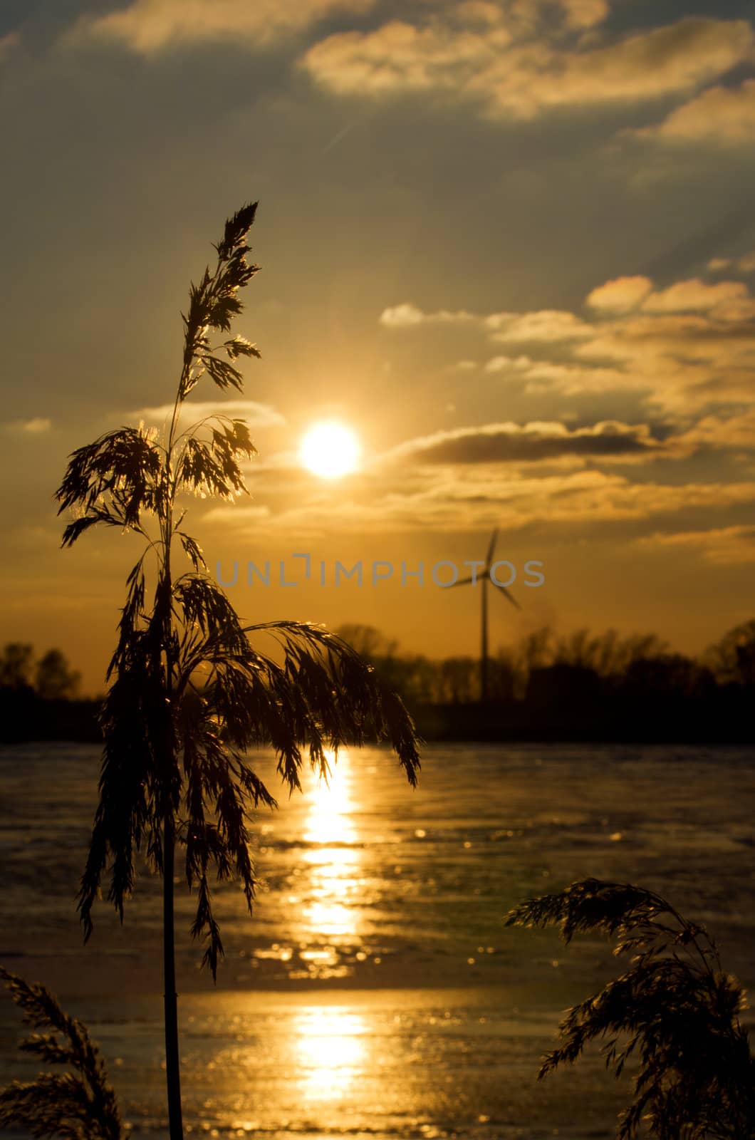 A wind engine enclosed in an idyllic part of nature not far from the center of the metropolis Hamburg. The picture shows the natural energy source sun, close to the man-made structure exploiting the energy source wind. Together, they warm the frozen river Elbe.