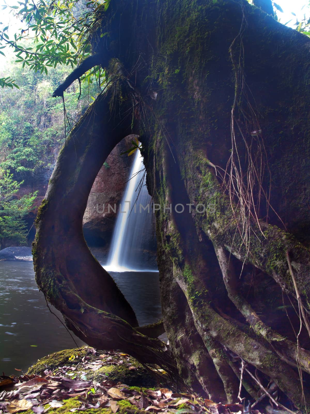 Waterfall in deep forest view from root hole, Thailand.