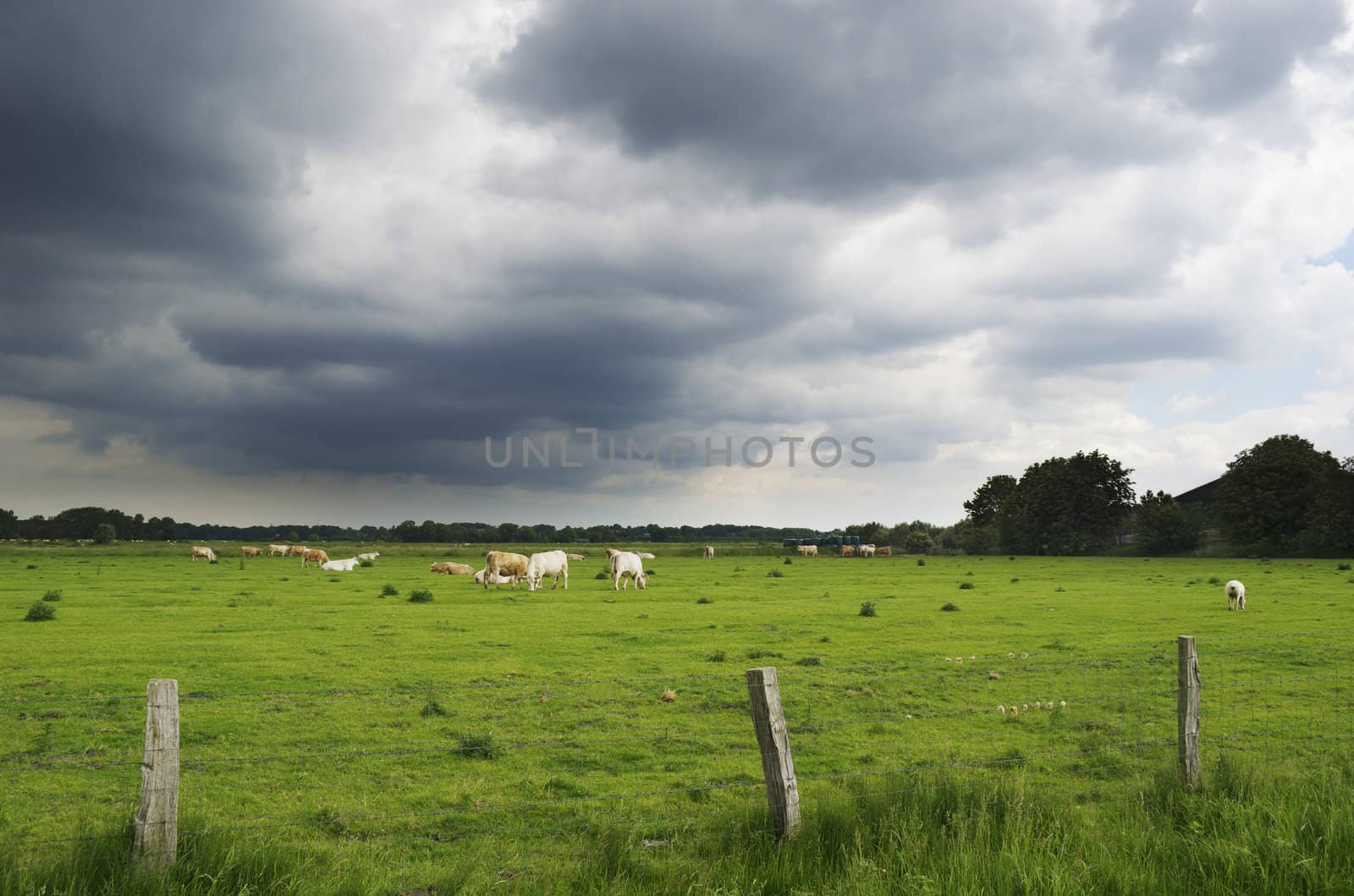Dark clouds over the pasture by nprause
