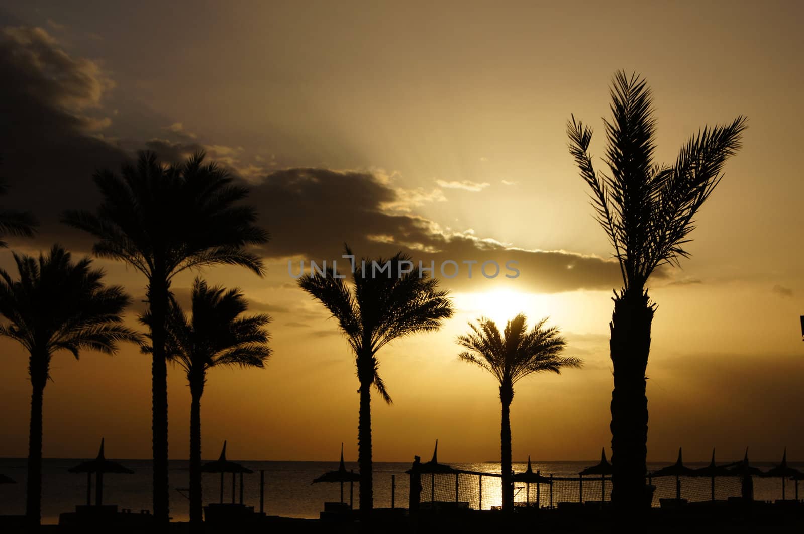Sunrise over the Red sea egyptian coast