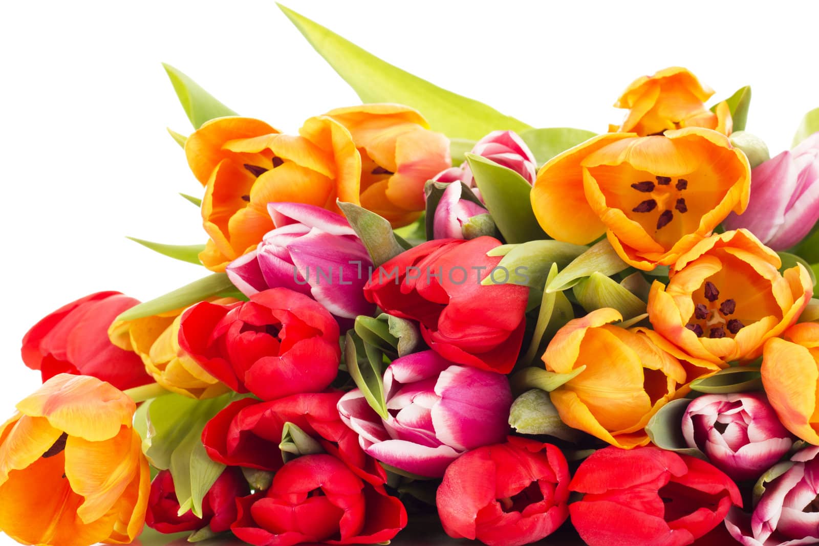 Bunch of tulips