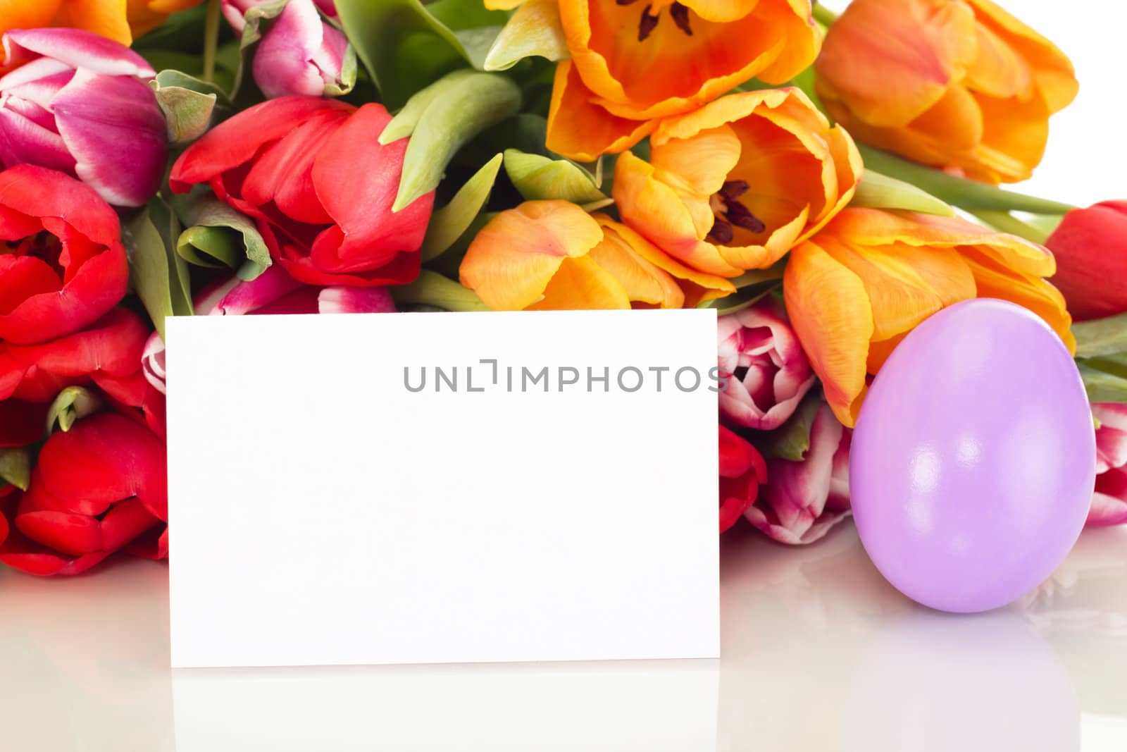 Bunch of tulips with easter egg and card
