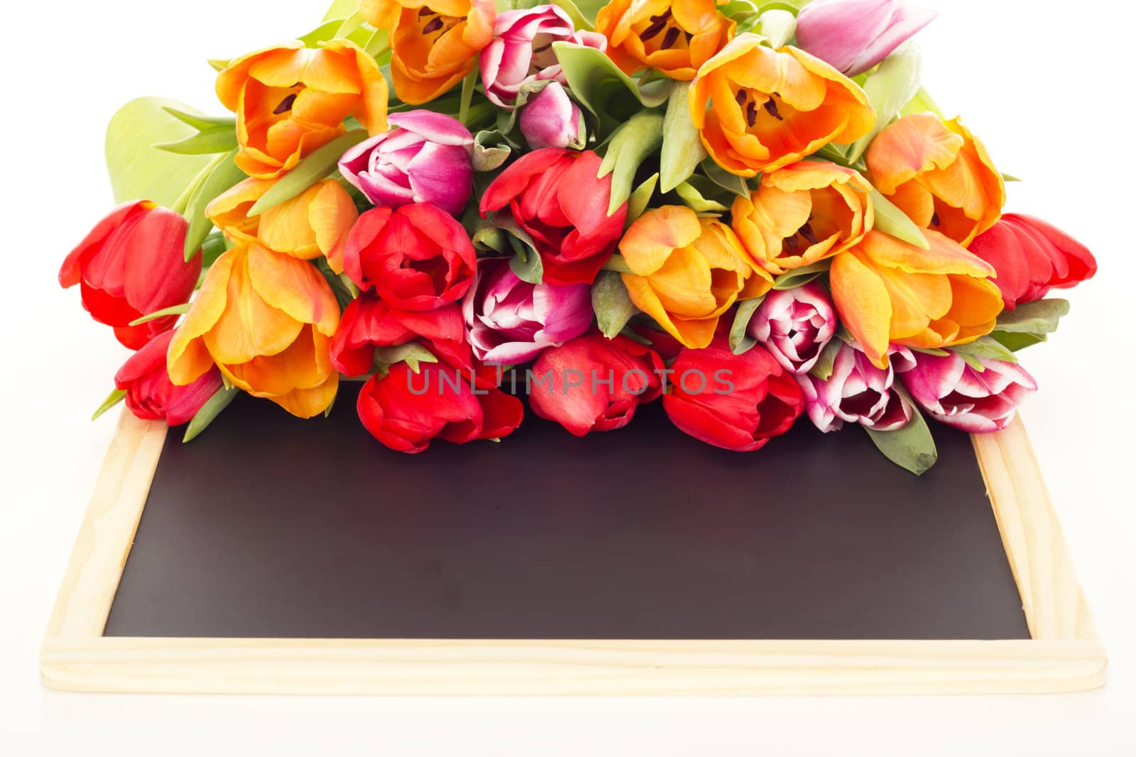 Bunch of tulips with blackboard