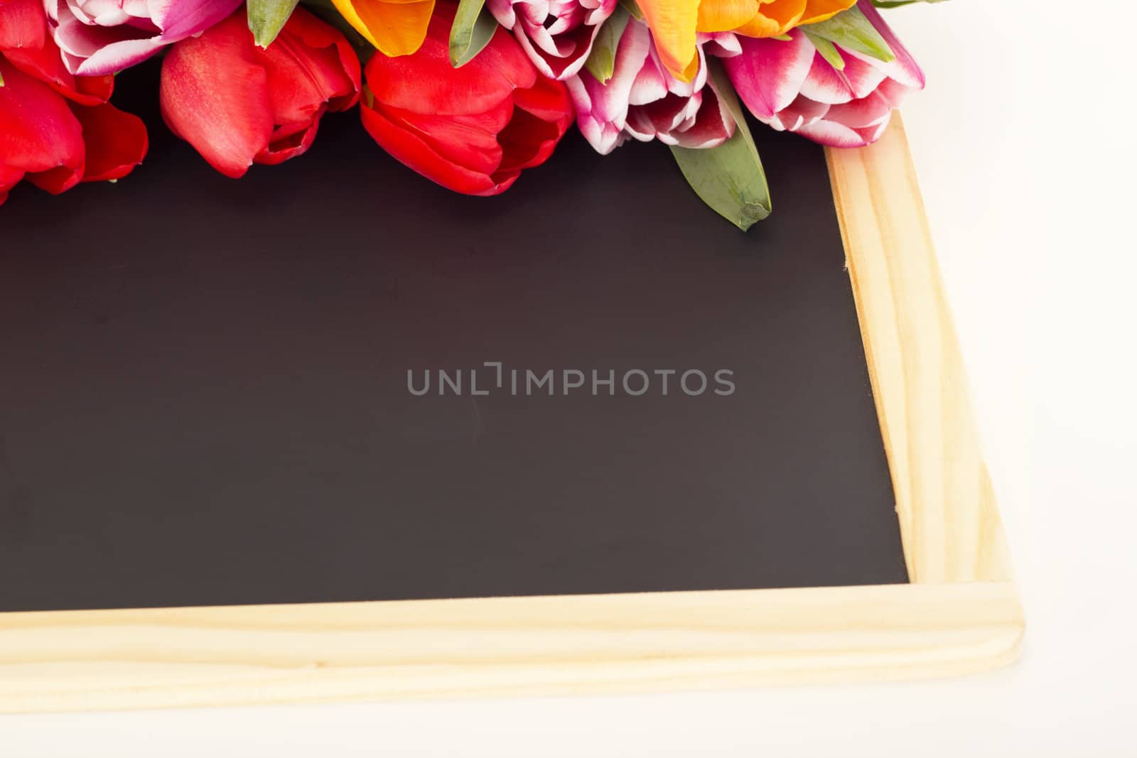 Bunch of tulips with blackboard