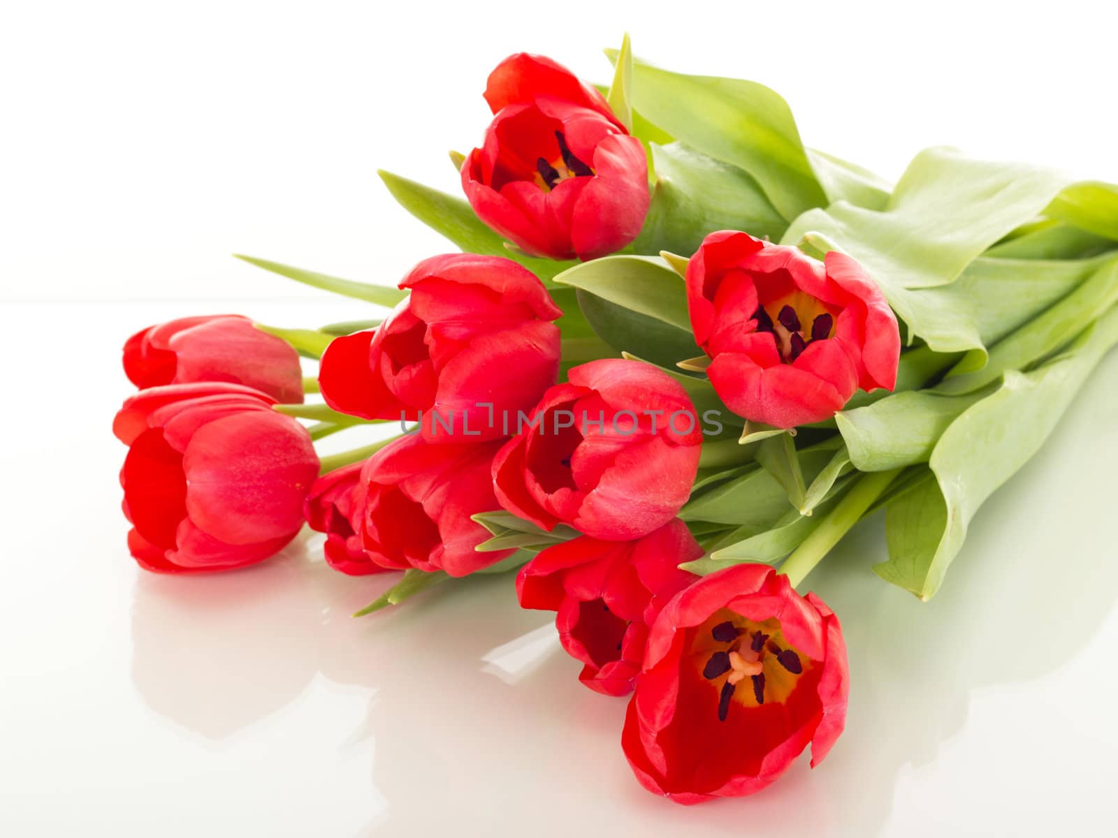 Bunch of tulips