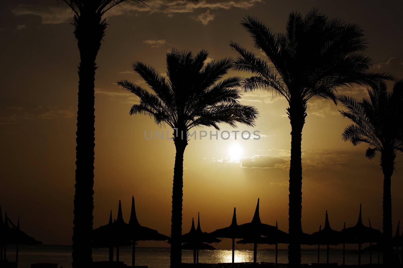 Sunrise over the Red sea egyptian coast by Elet