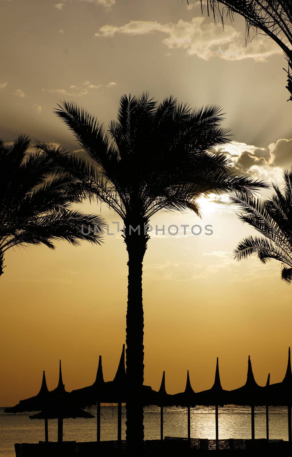 Sunrise over the Red sea egyptian coast