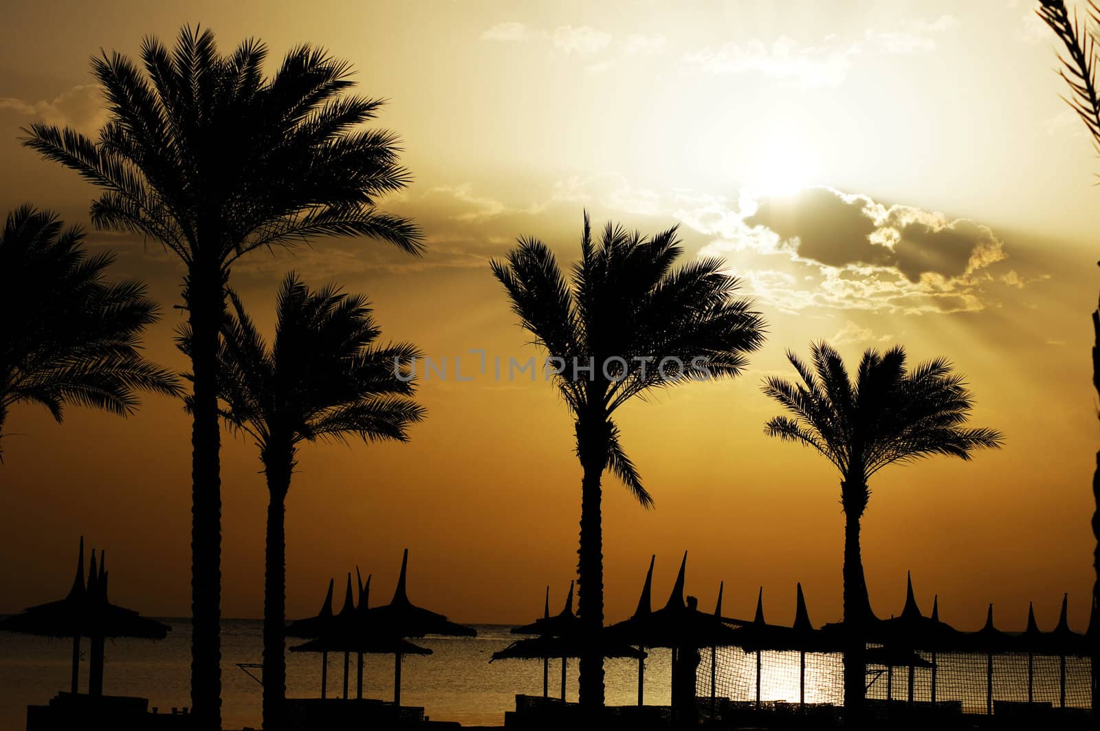 Sunrise over the Red sea  by Elet