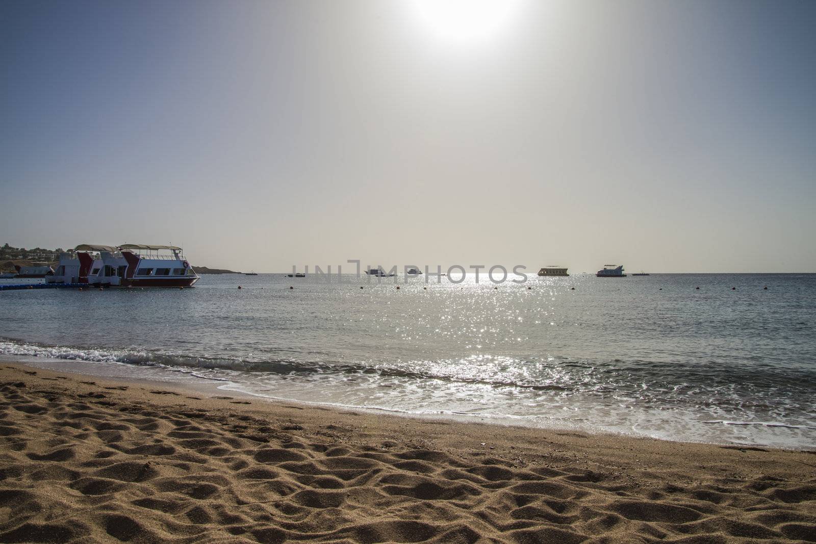 glass boat in naama bay by steirus