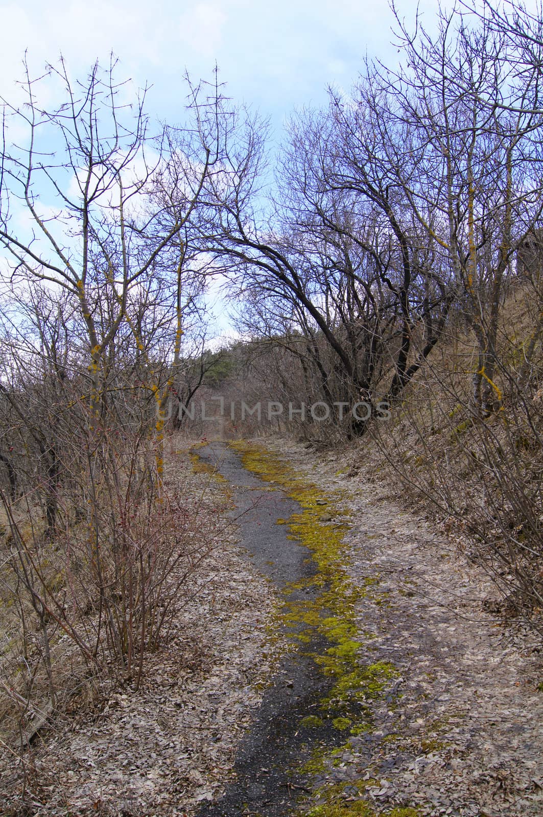 Spring time: road in the open-air enthographical museum in the capital of Republic of Georgia - Tbilisi