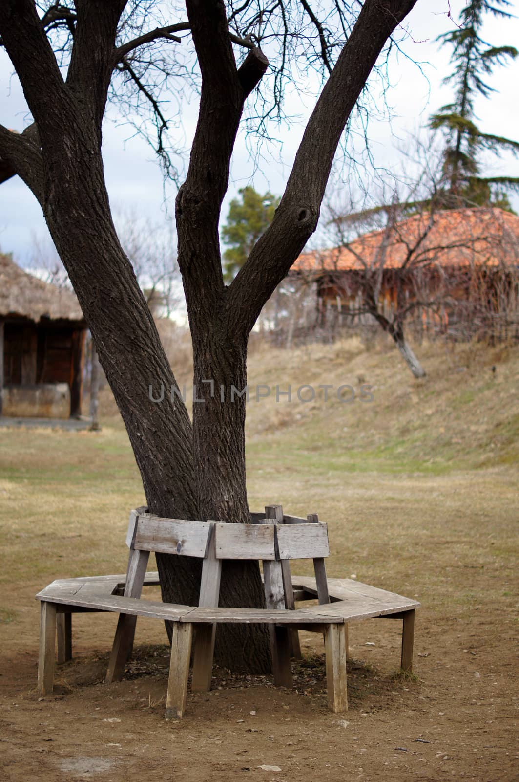 garden bench in Tbilisi Open-air ethnographic museum