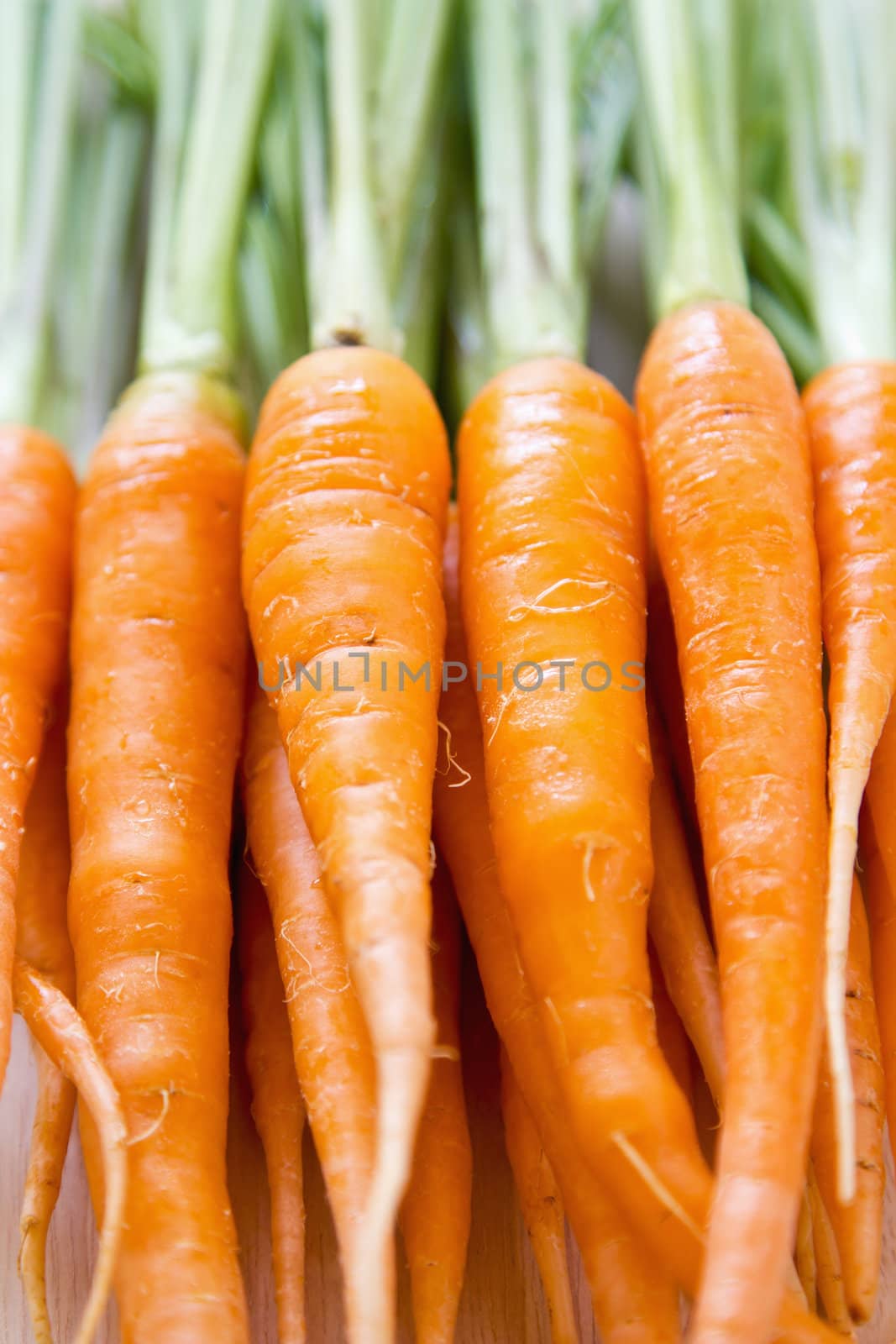 Closed up fresh Baby carrot