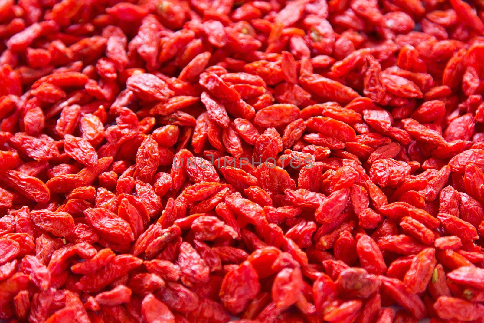 Dried Goji berries also known as  Lycium chinese