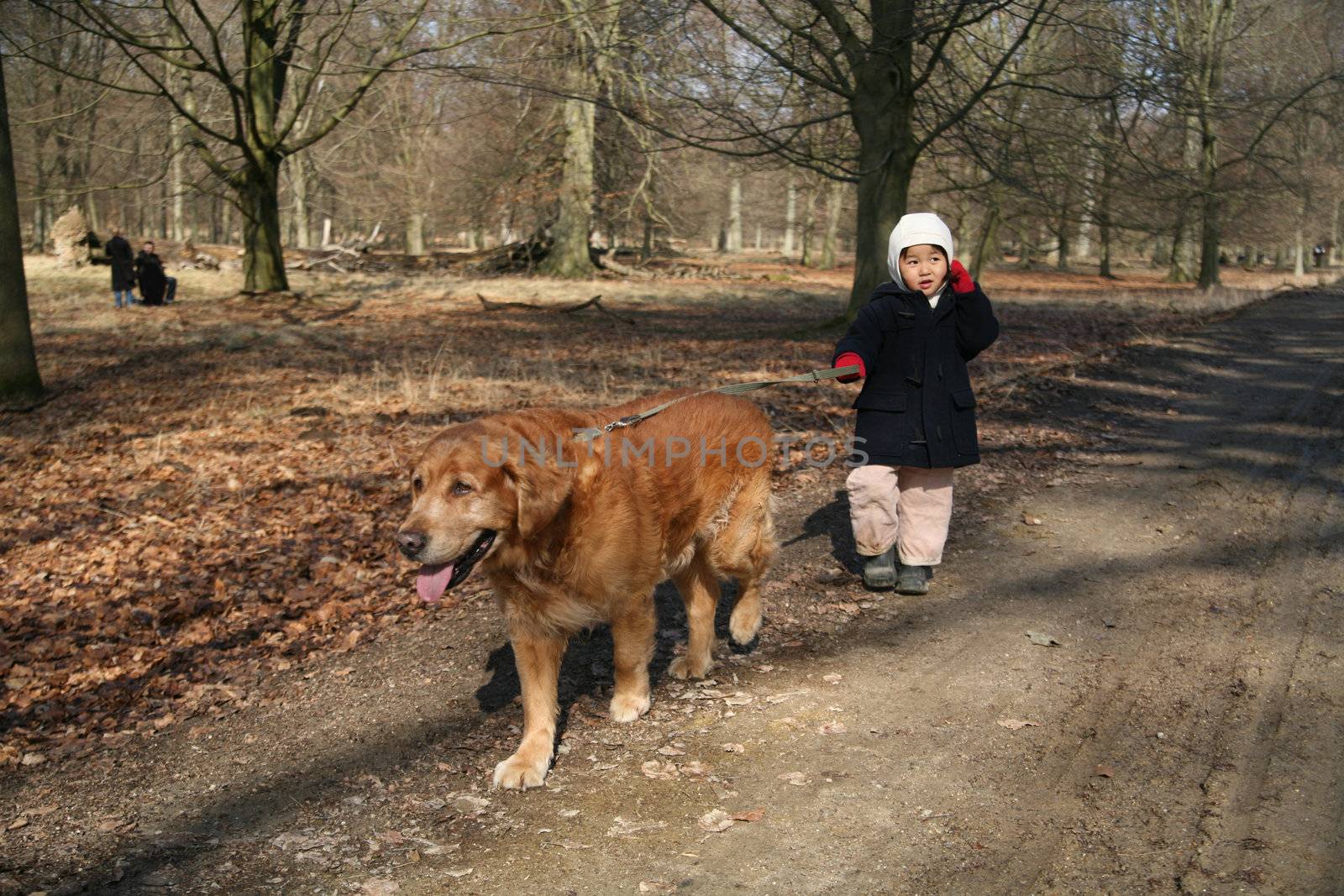 girl running behind a dog in the nature (golden retriever) on a path
