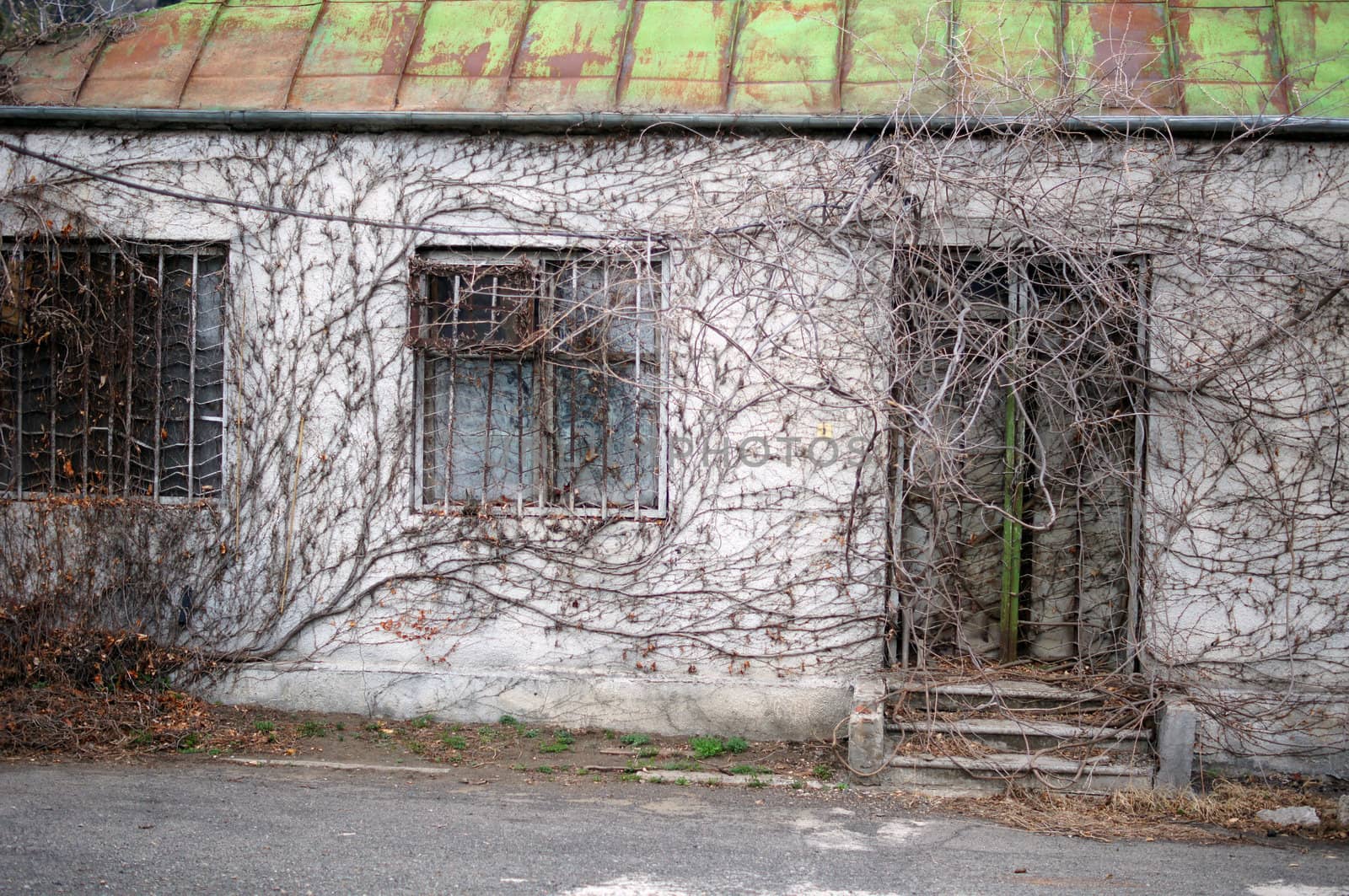 Old house in the forest, spring time