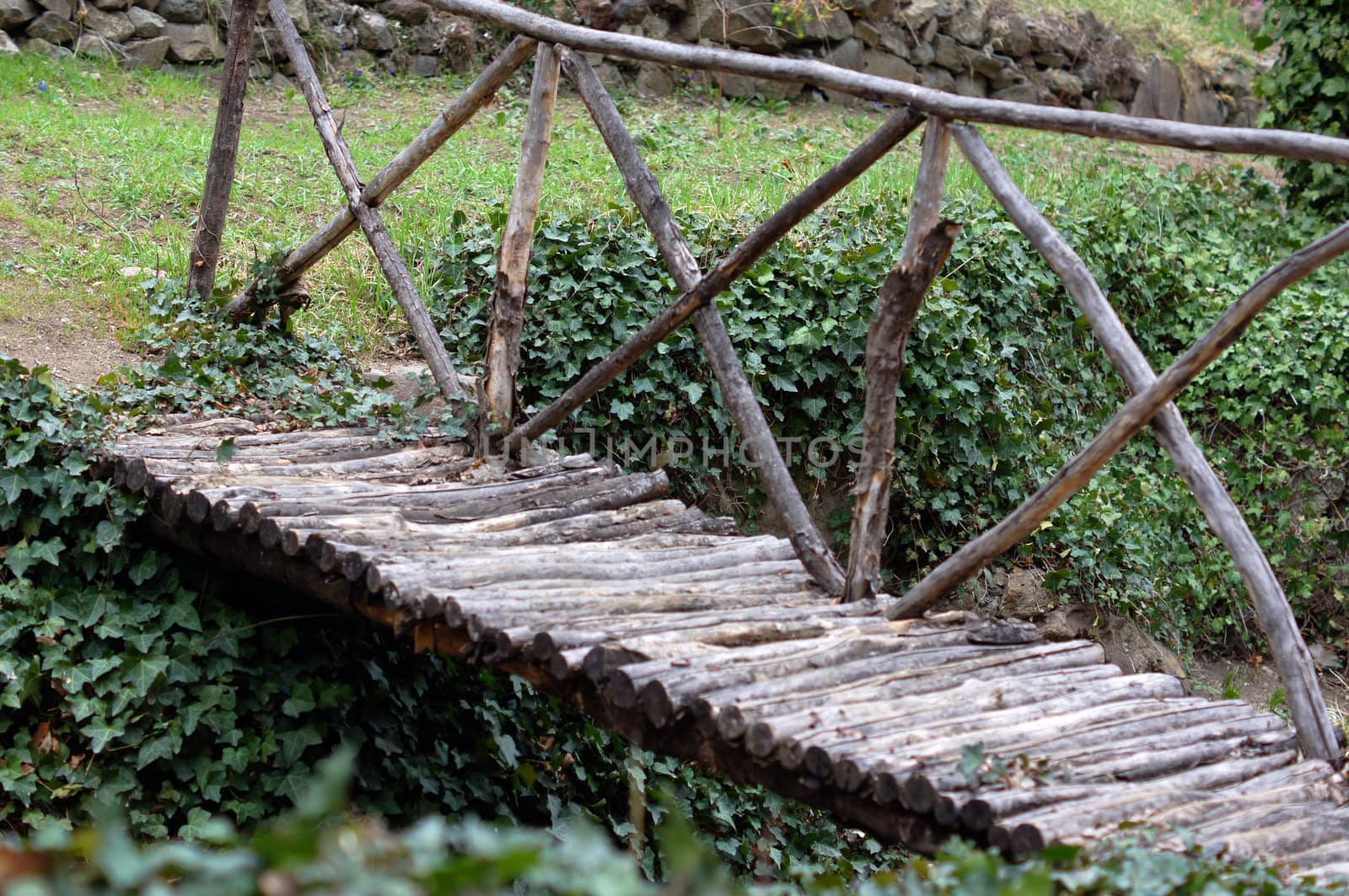 Spring time: step way in the garden