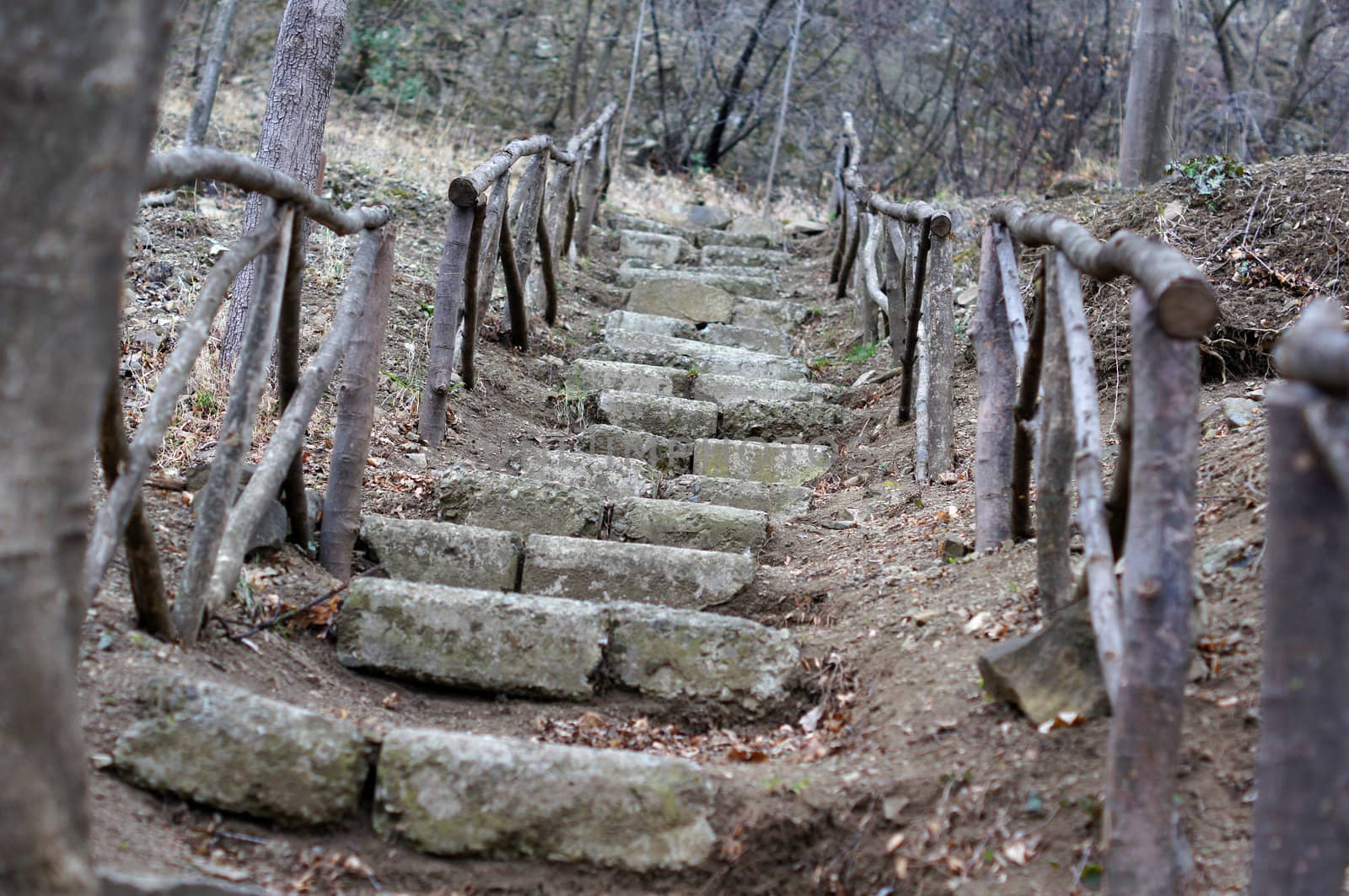 Spring time: step way in the garden