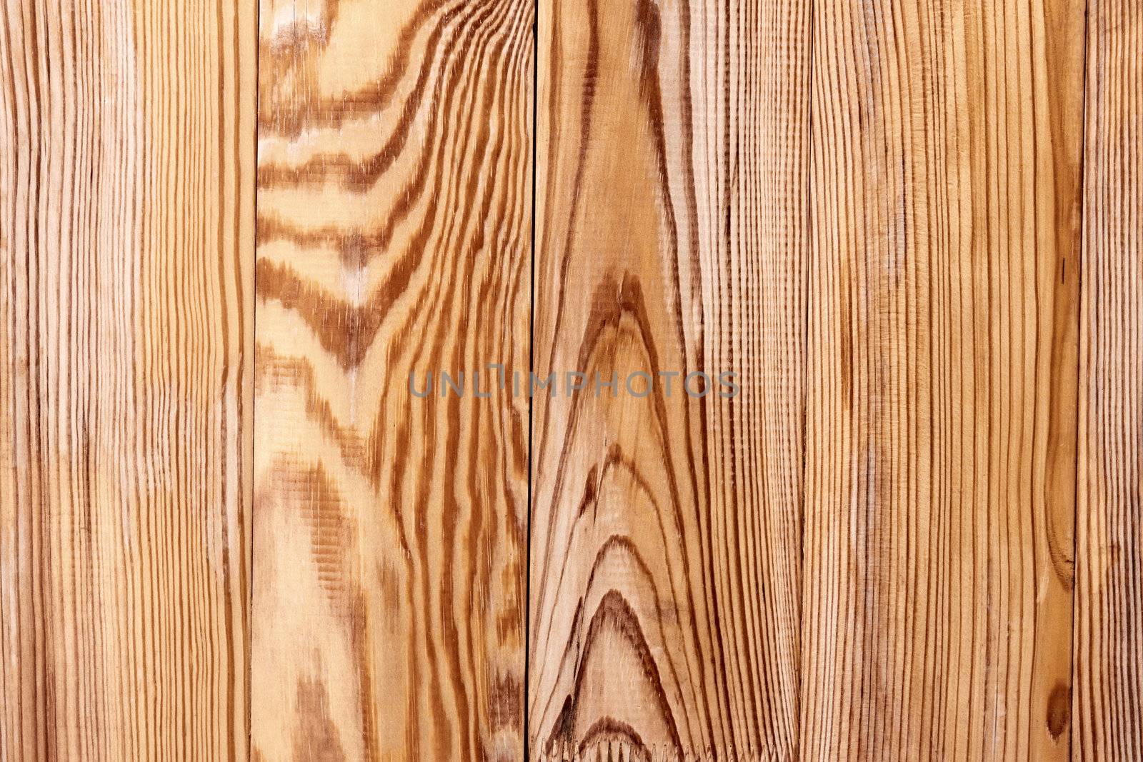 Wooden shield with vertical parallel boards have contrasting annual rings texture