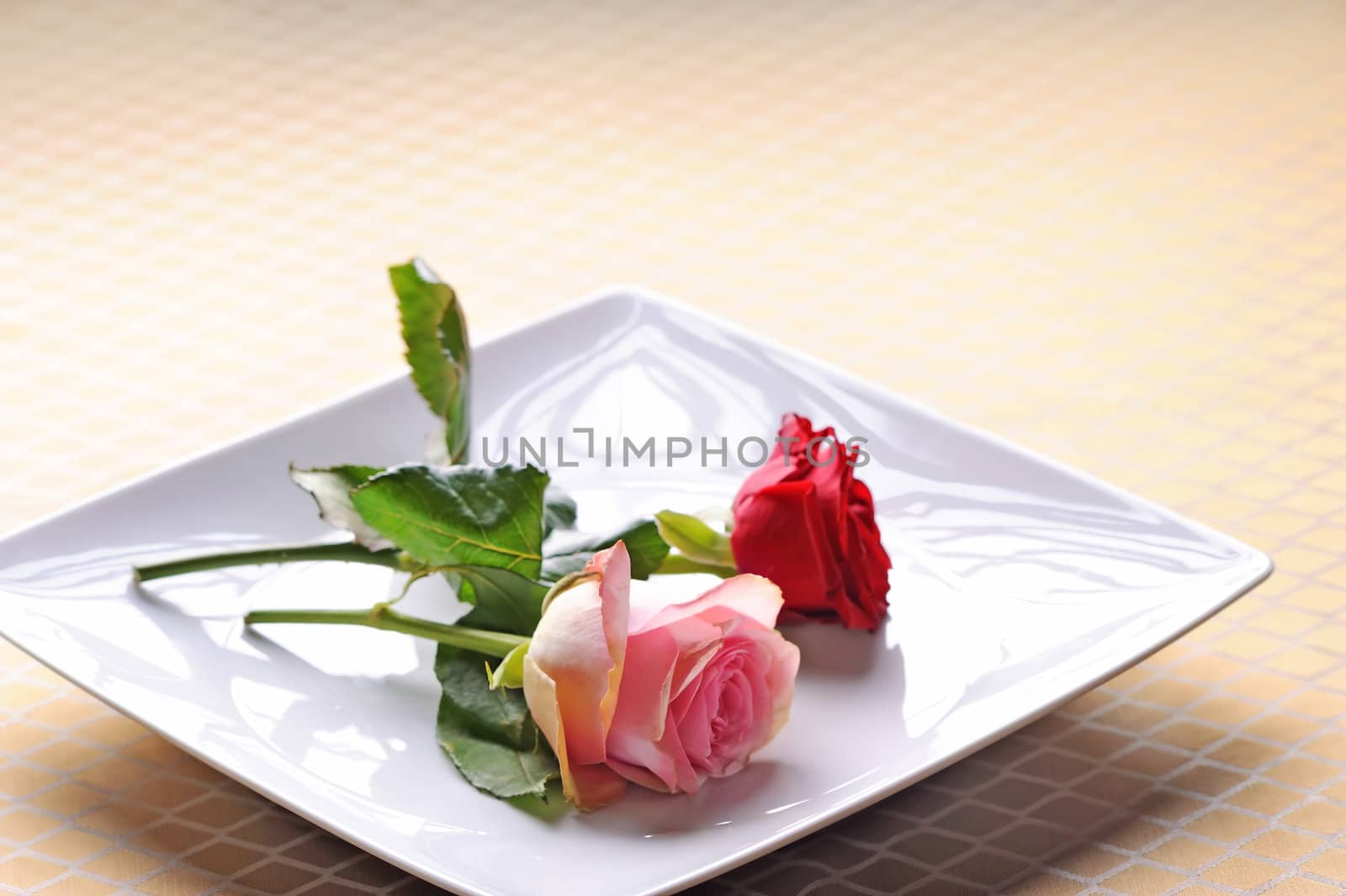 Romantic date, roses in the plate by Sevaljevic