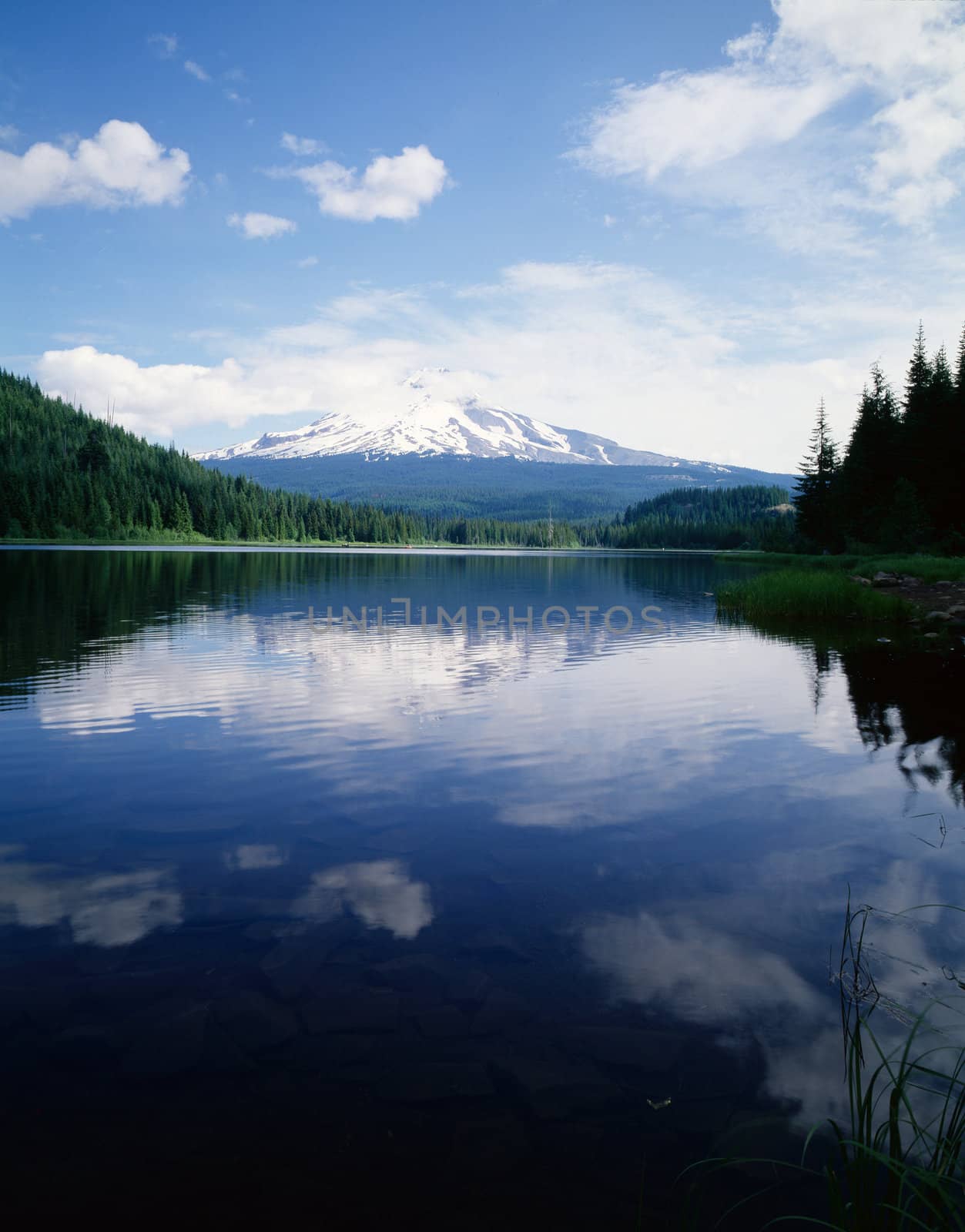 Mt.Hood with Trillium Lake, Oregon