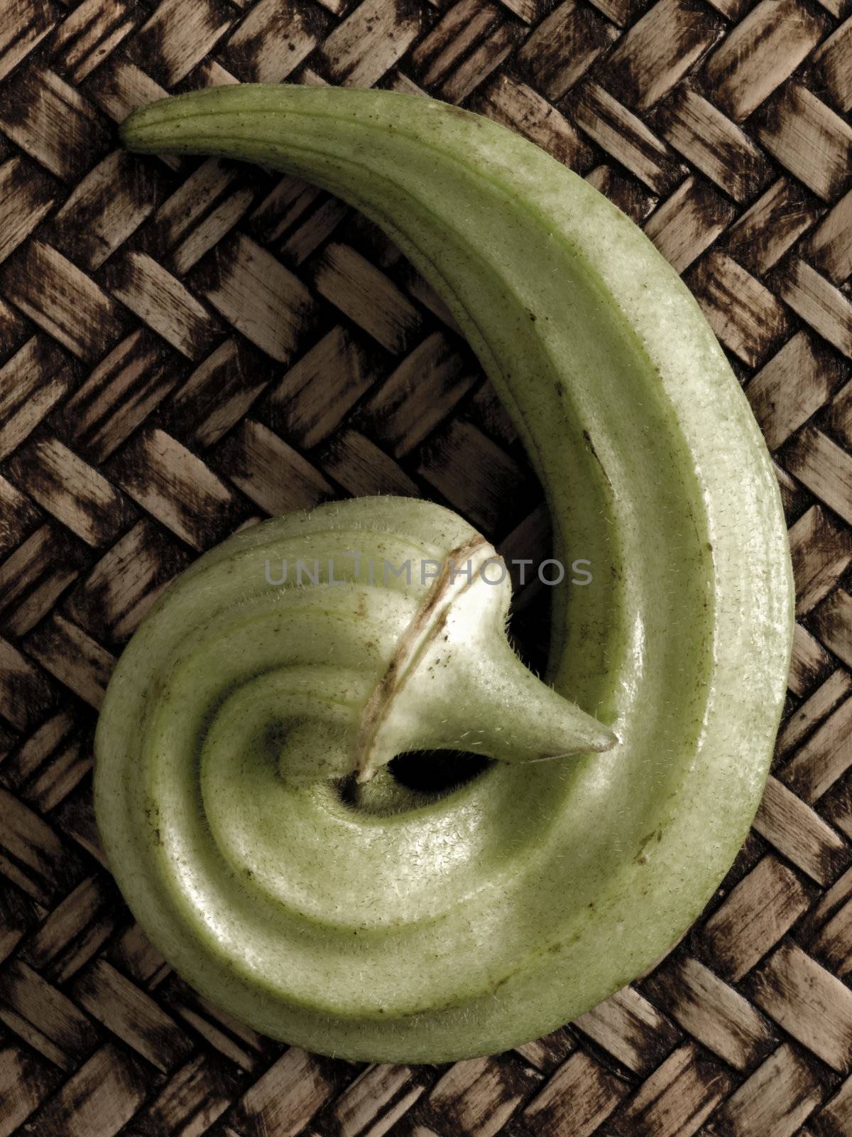 close up of an okra pod