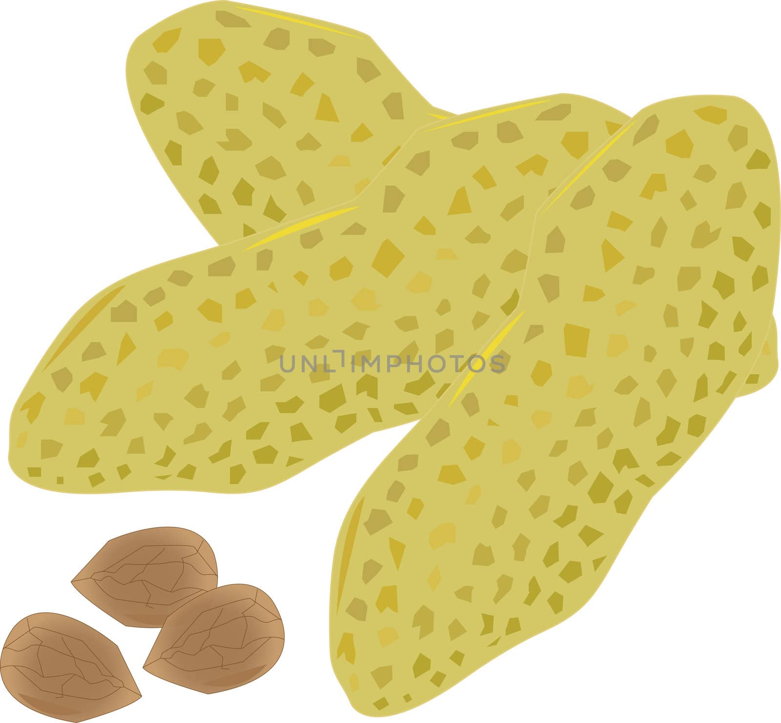 Isolated pieces of Peanut in white background