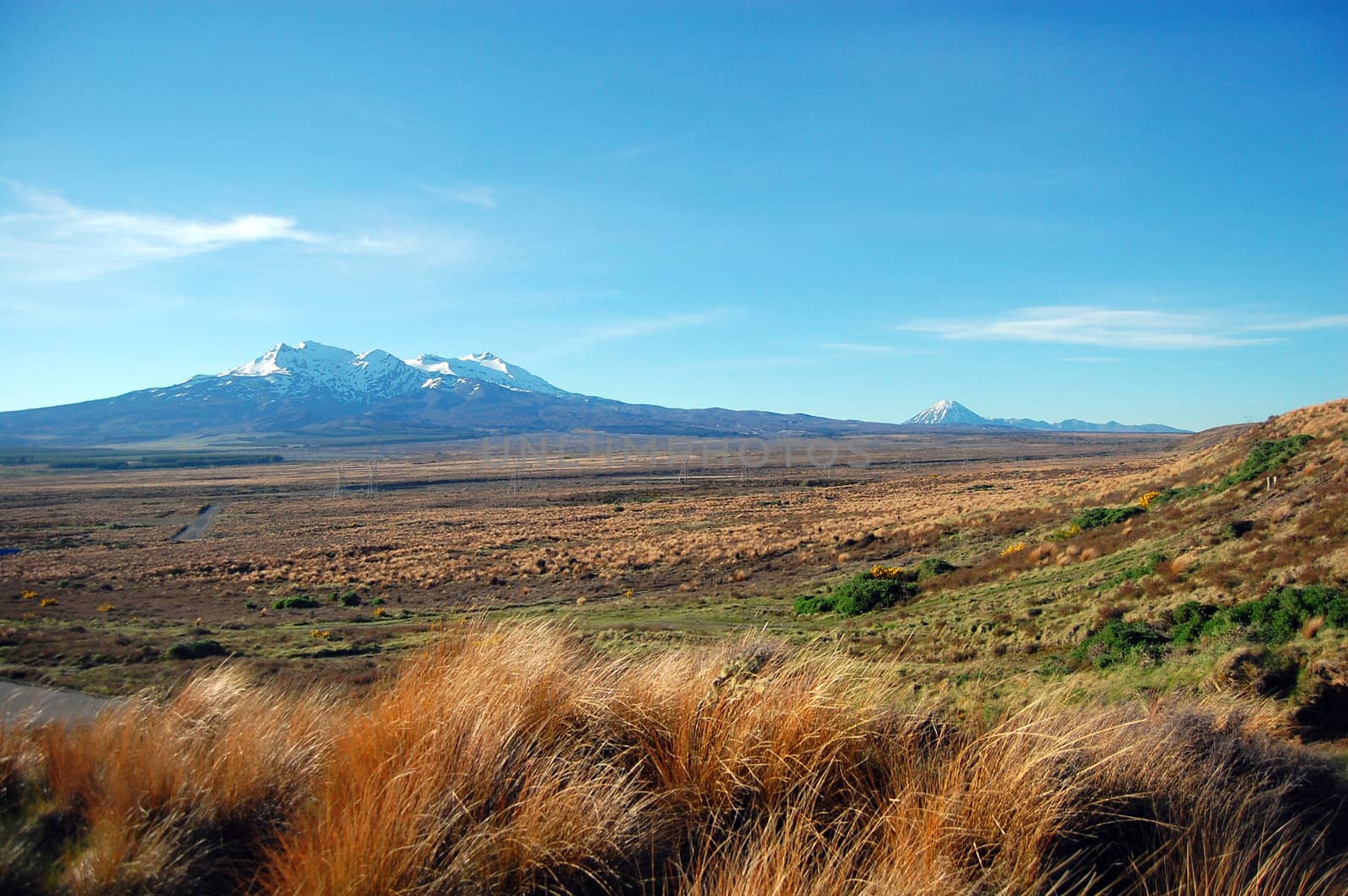 Mountain view, North Island, New Zealand