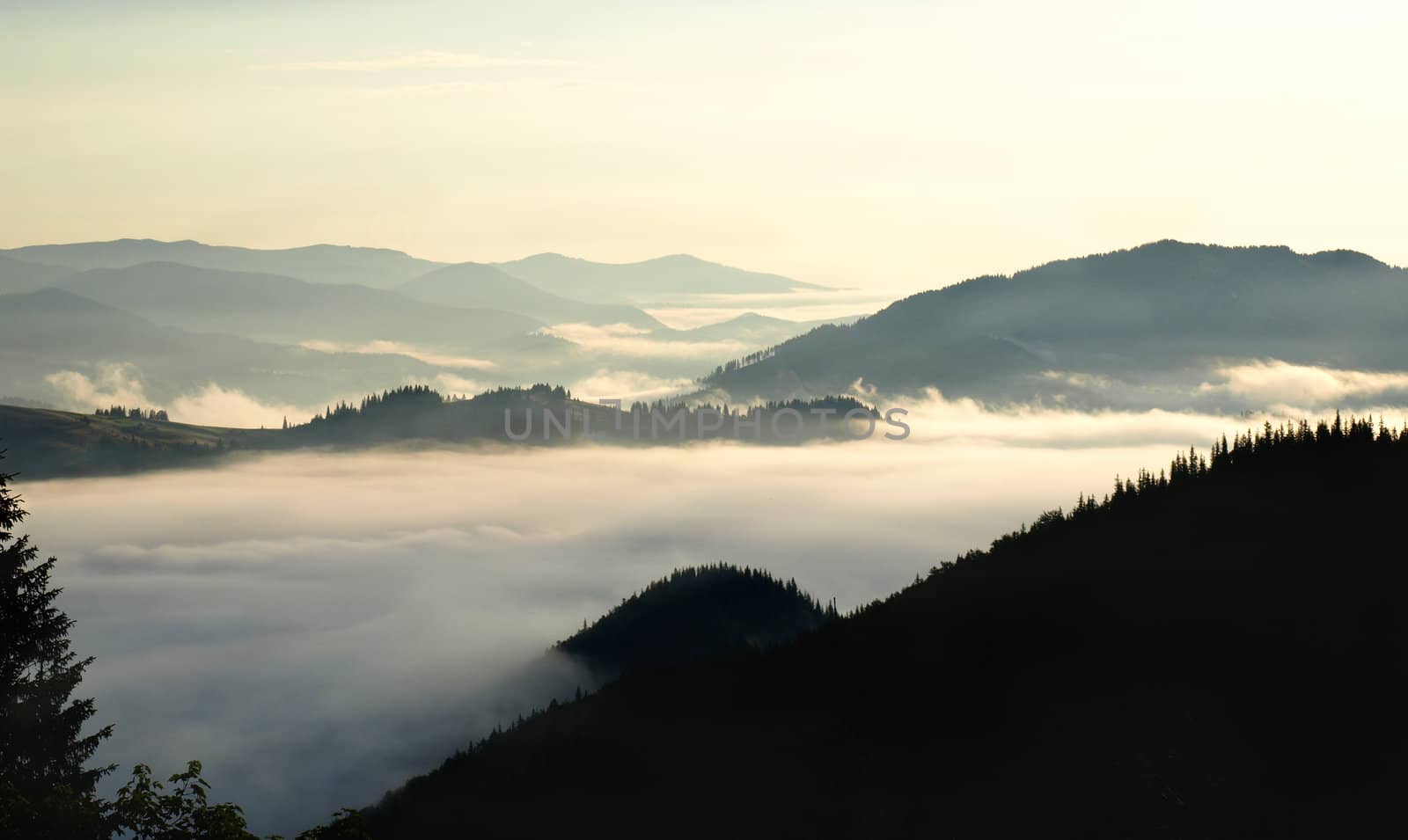 Foggy volley in  mountains. Carpathians