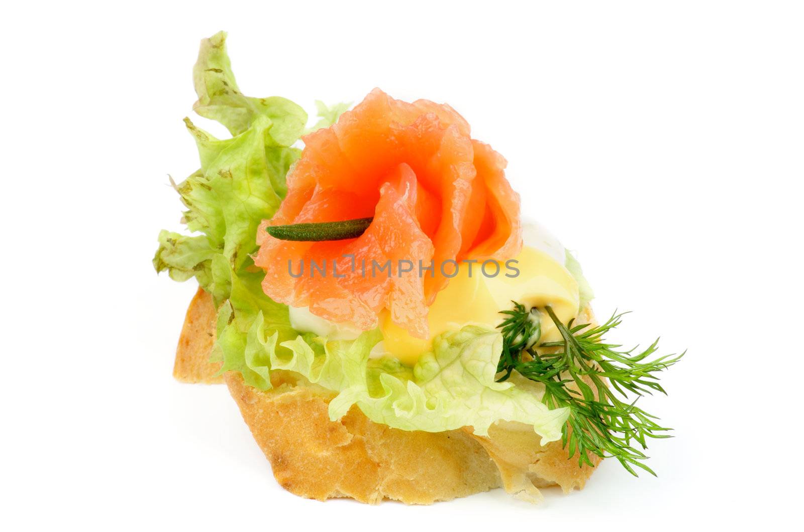 Smoked Salmon Snack with Lettuce, Dill, Rosemary and Cheese Sauce isolated on white background