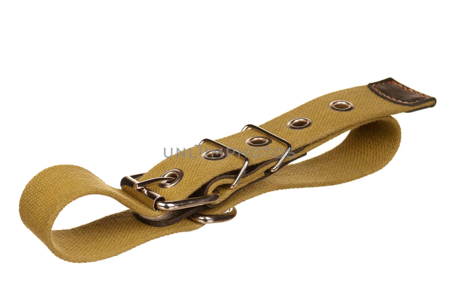 Dog collar by fotostok_pdv