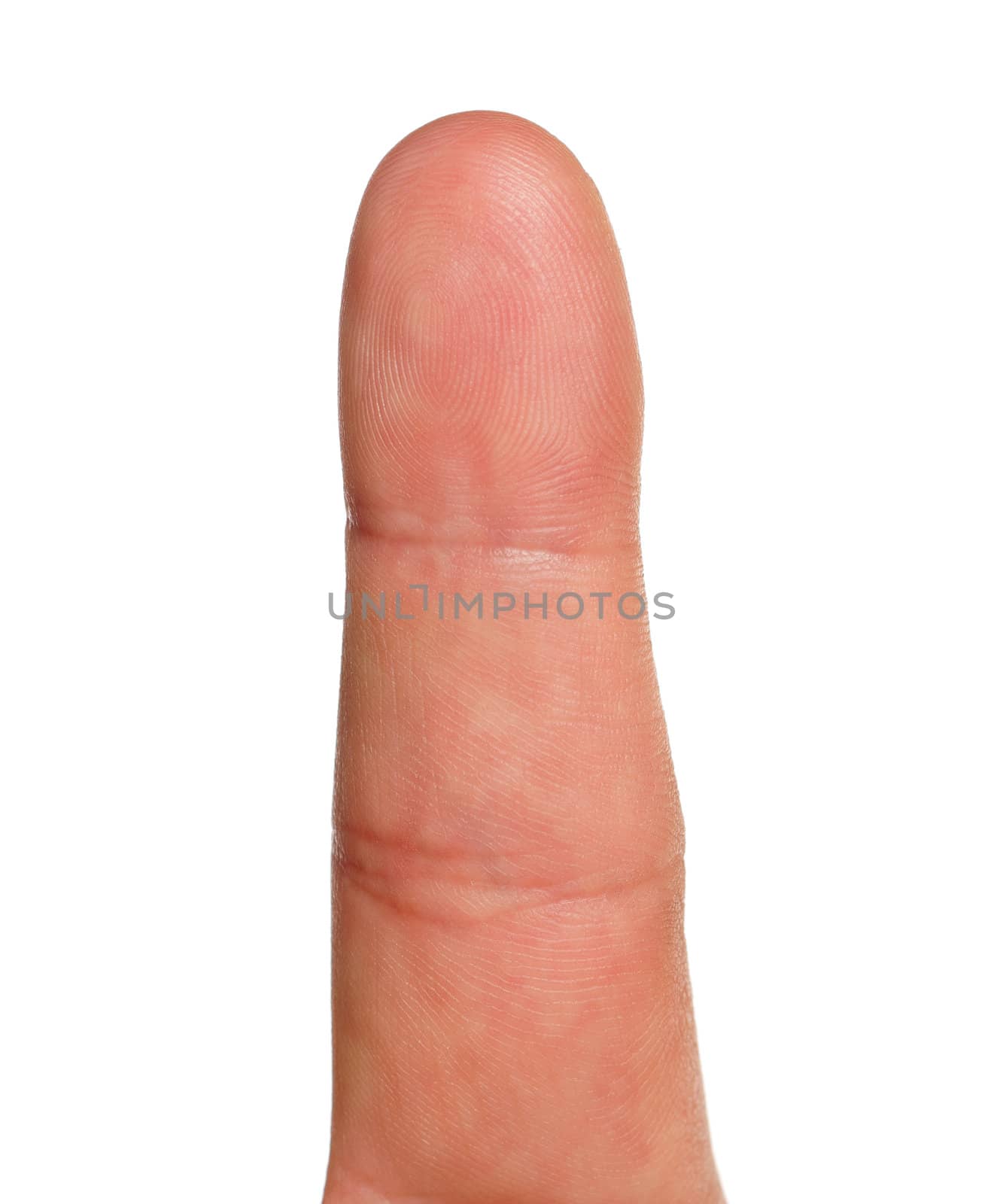 Macro view of a finger print isolated on white background