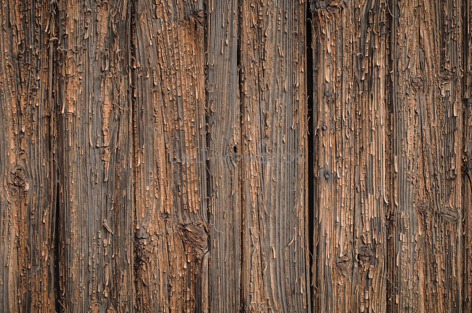 Wooden board textured surface with small details