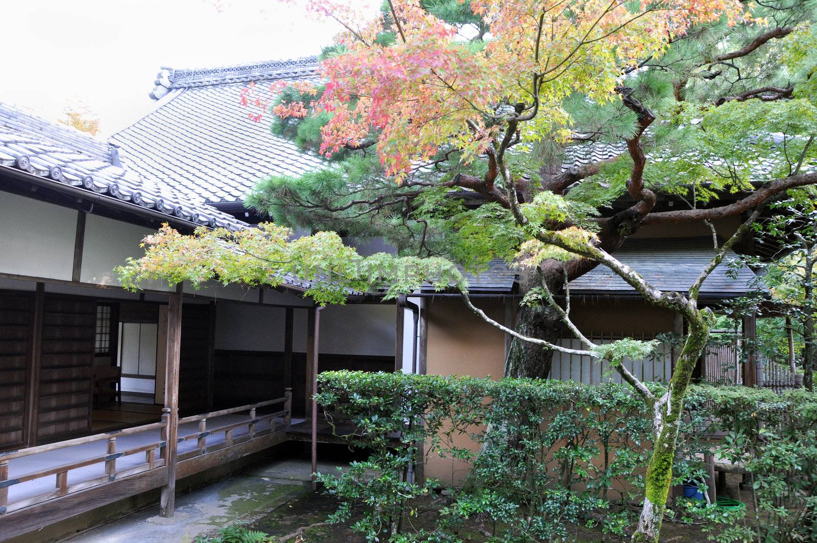 Japanese garden in the Koto-in temple by siraanamwong