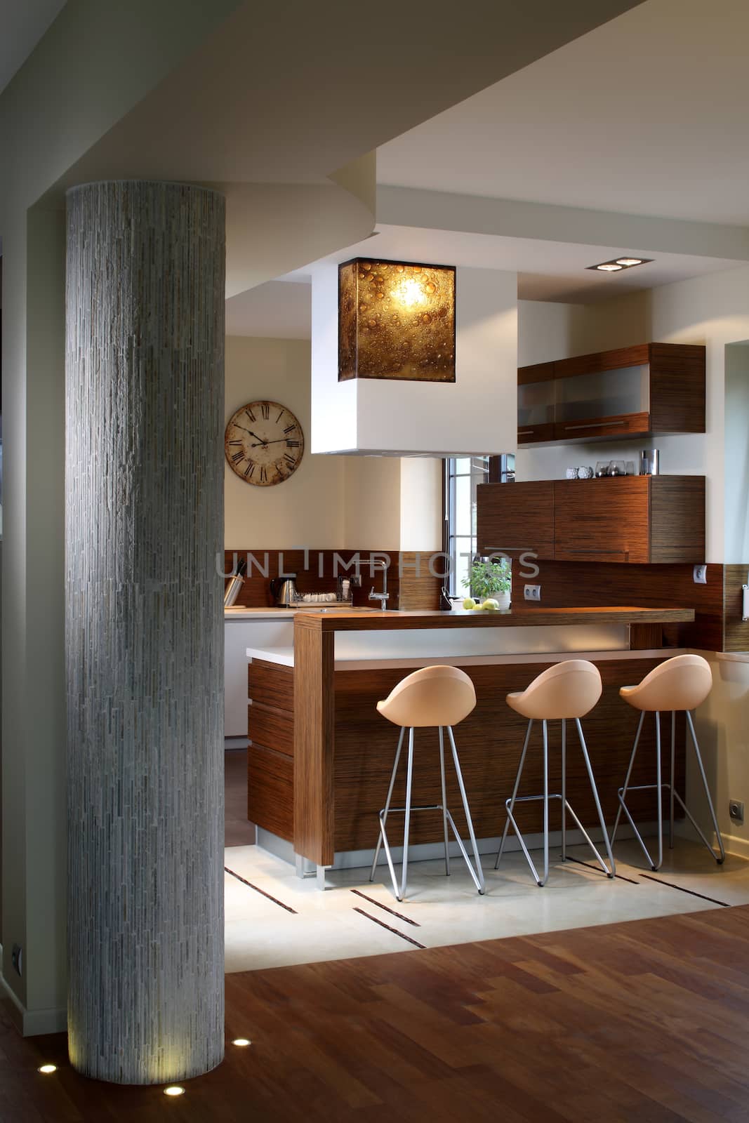 Modern kitchen in luxury apartment