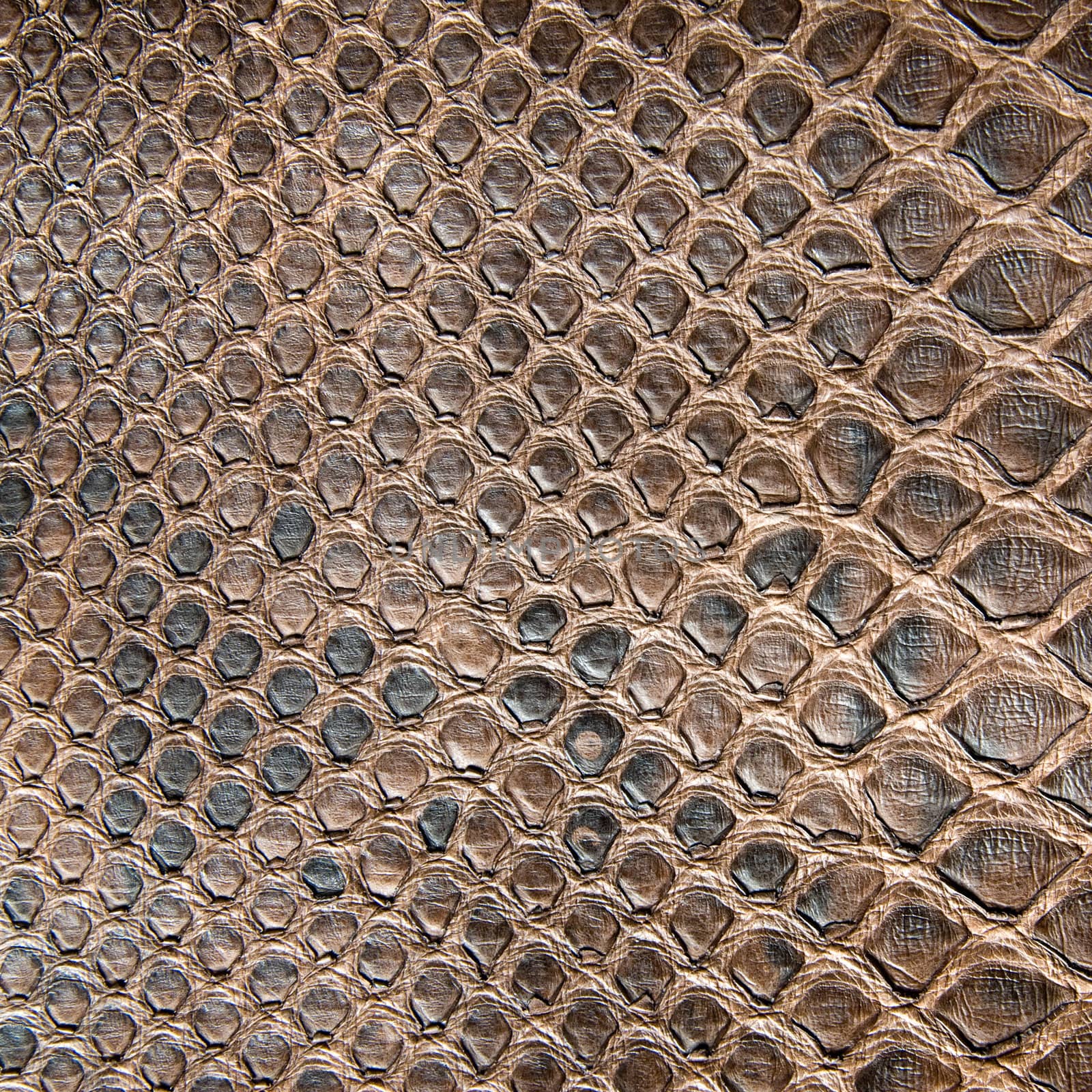 brown crocodile texture by artjazz